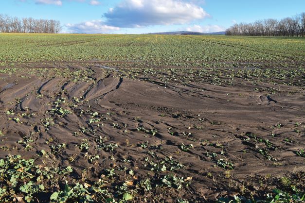 Eroded agricultural field